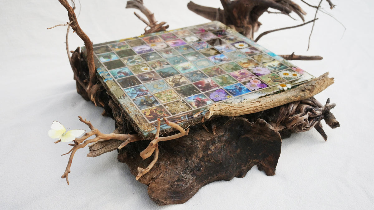 Blooming Burrow - TCG Chessboard