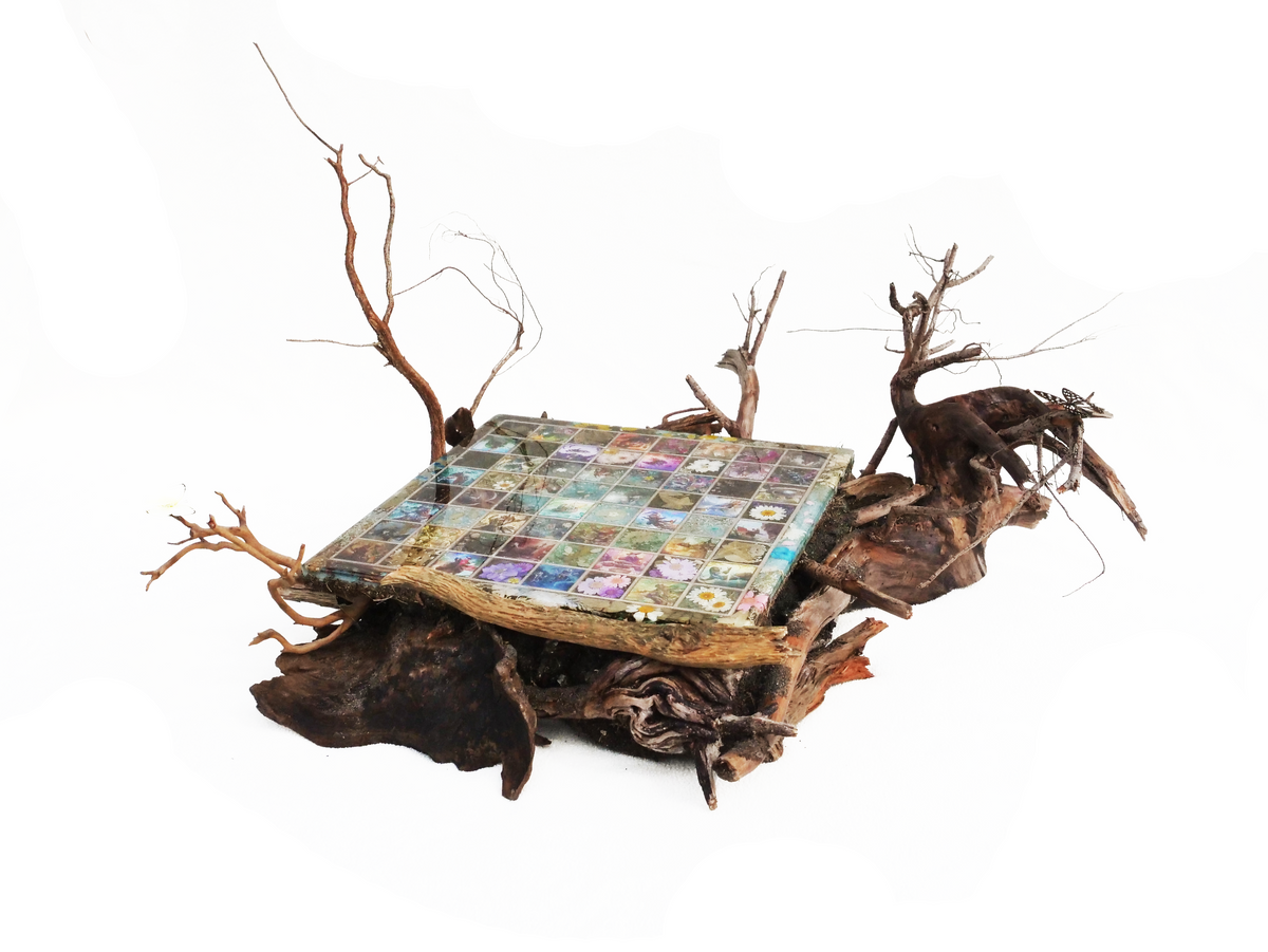 Blooming Burrow - TCG Chessboard