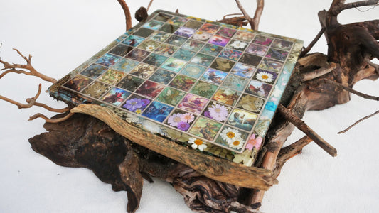 Blooming Burrow - TCG Chessboard